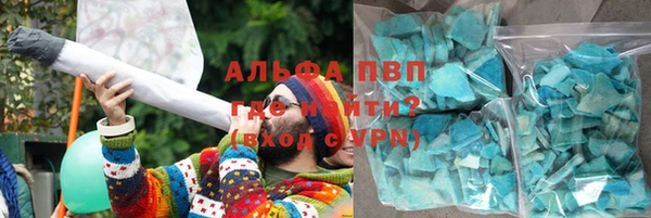 прущие грибы Михайловка